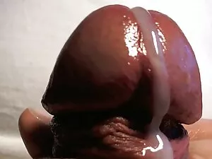 Ibu Ayam aplikasi si ...