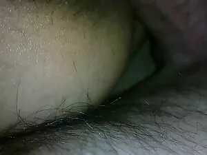 Arietta cara downloa ...