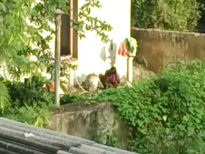 Campuran aplikasi yg ...